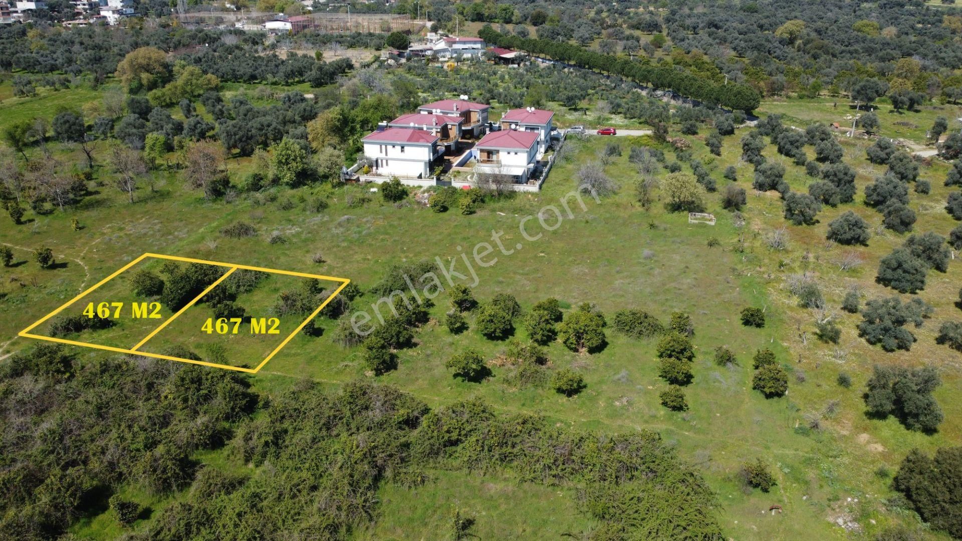 Nazilli Yeşil Mah.de 3 Kat İmarlı Arsalar