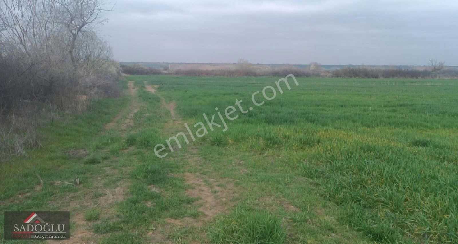 Babaeski Yenimahalle'de Satılık 20.321 M2