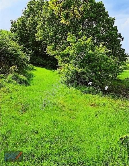 Tek Tapu_yol_su_harika