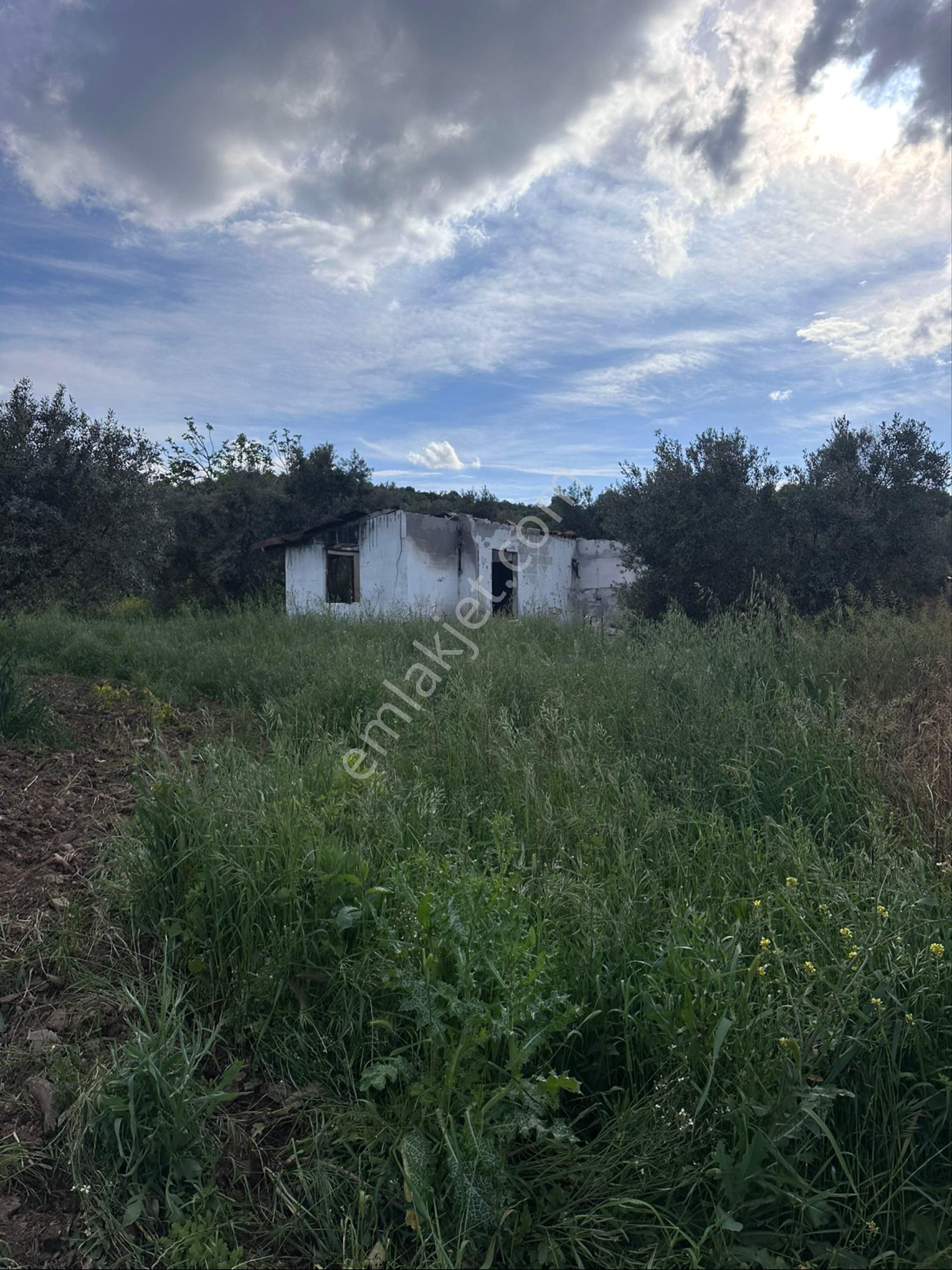 Tek Tapu Arayanlar Kaçırmasın