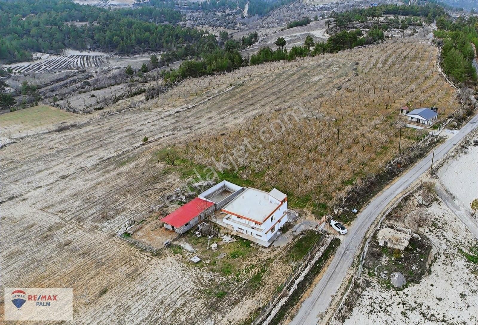 Remax Palm'den 45.000 M2 Ceviz Bahçesi + 2 Katlı Ev Satılık Arsa