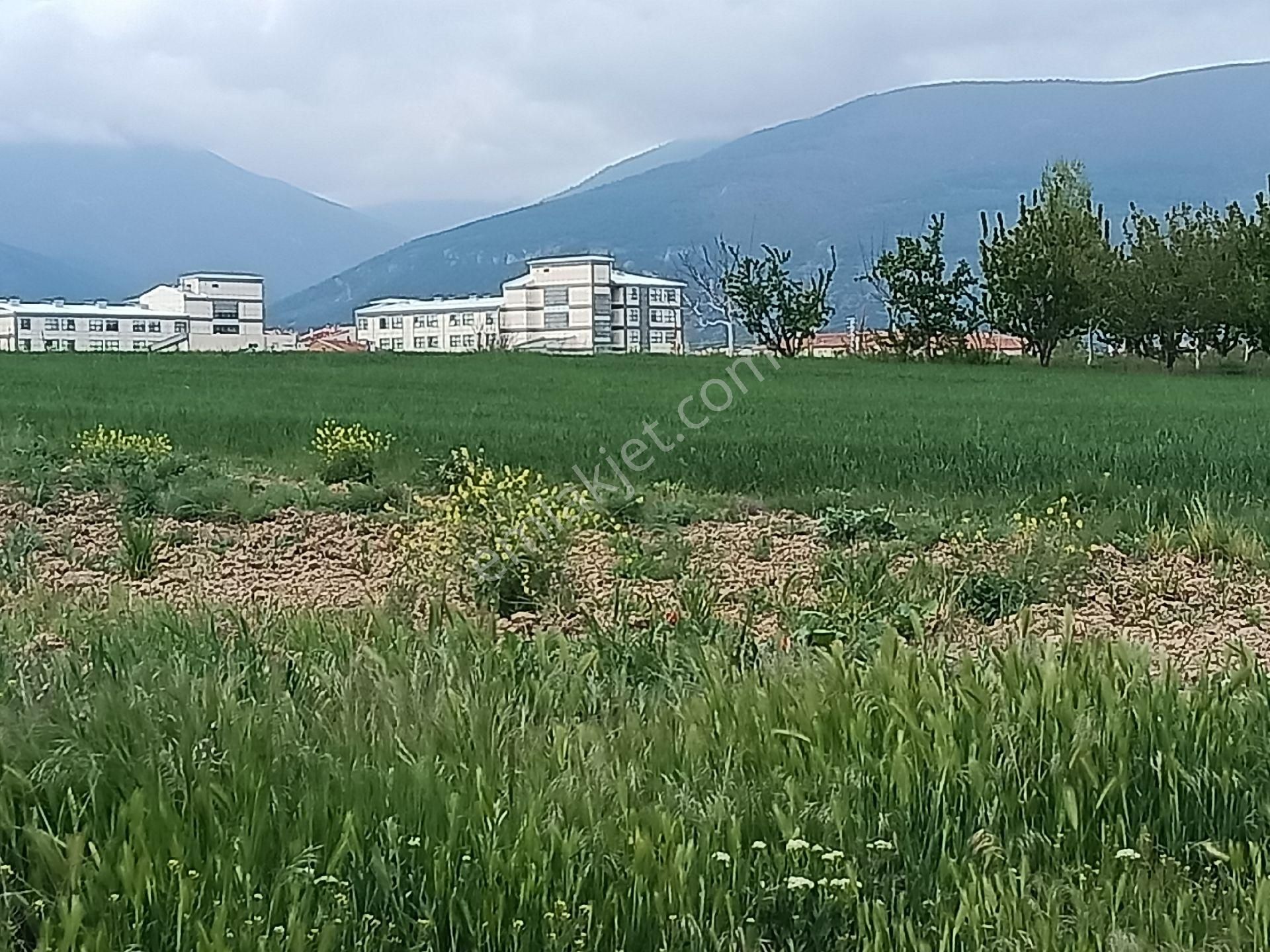 Abit Gm Alanyurtda 1.000 M2 Müstakillik Arsa Üniversite Cvr.