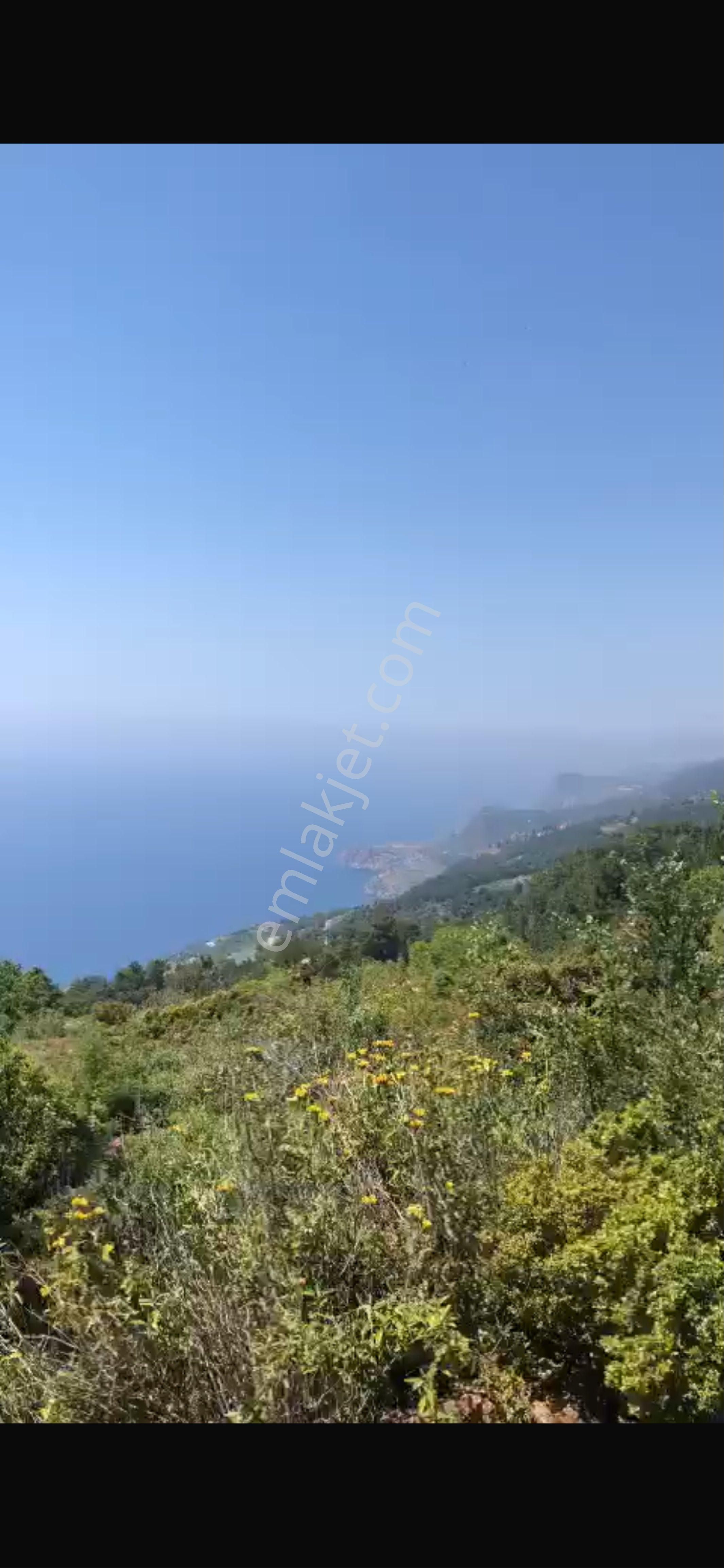 Alanya Gazi Paşada Deniz Manzaralı Arsa
