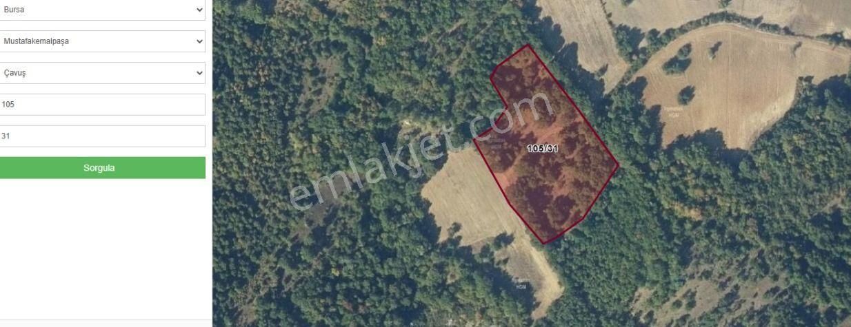 Burhan Ardıç'tan Mustafakemalpaşa Çavuş 7.800 M2 Arazi