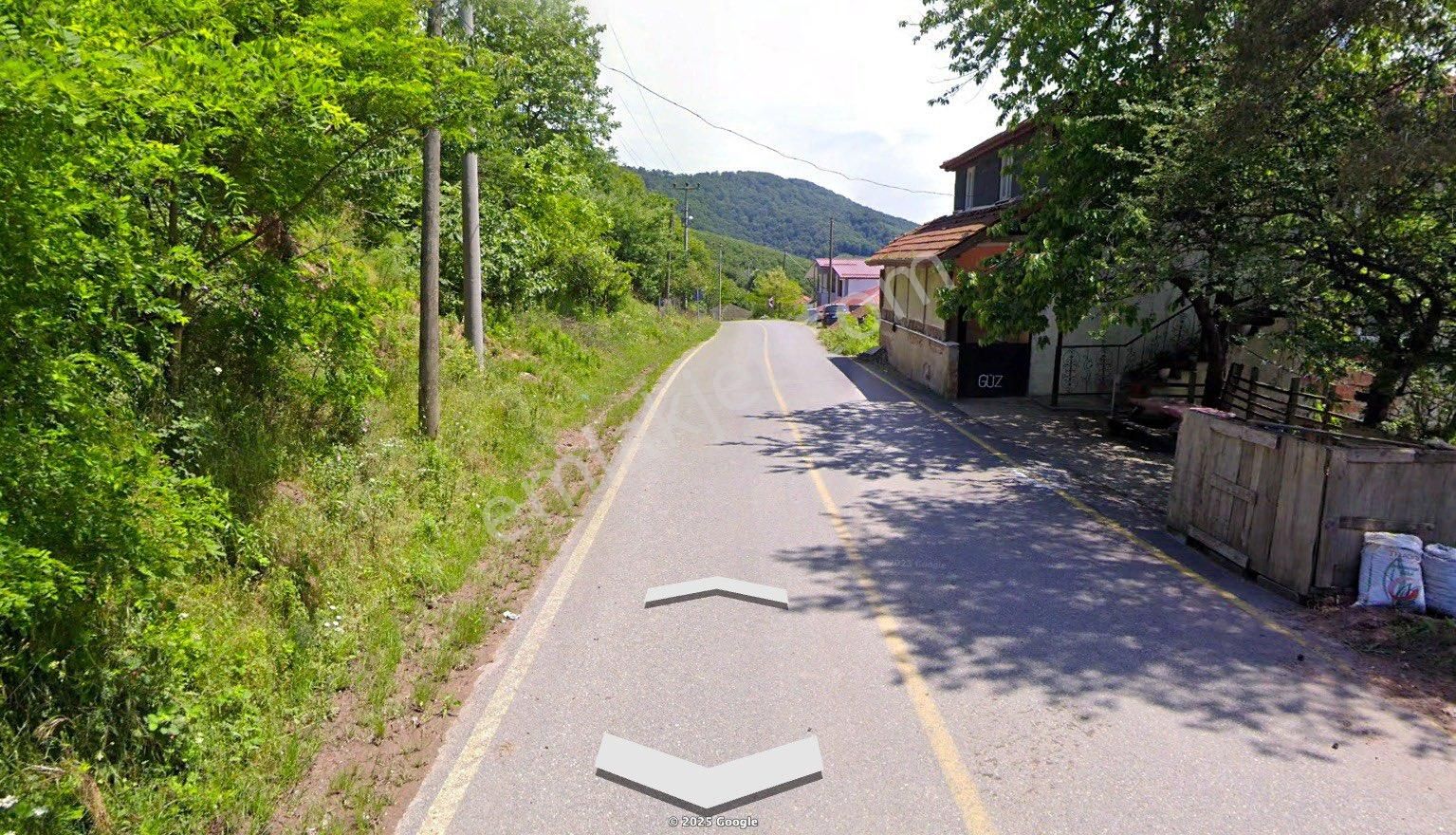 940 Adet Fındık Bulunan 11.700 M2 Satılık Fındıklık