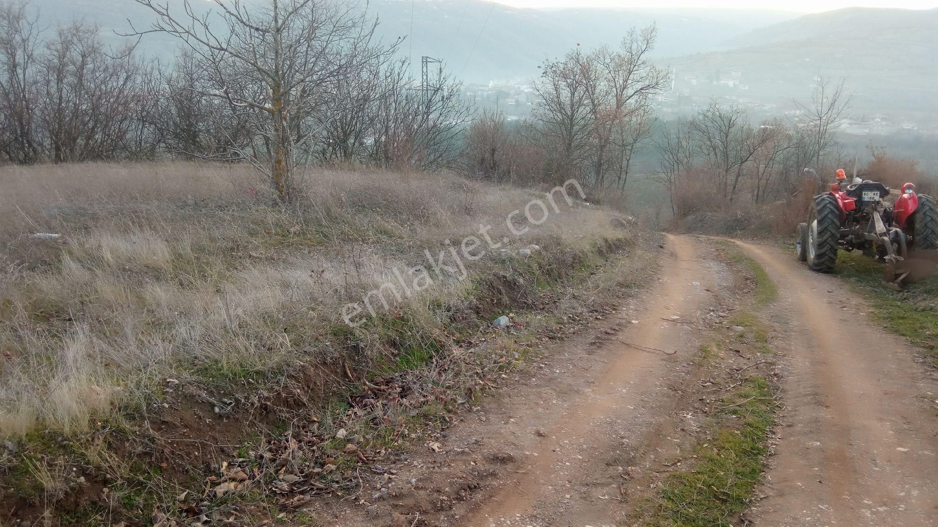 Tokat Erbaa Koçak Petrol Arkası 2 Adet Yan Yana Arazi