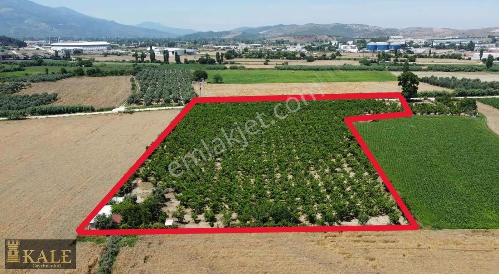 Kale'den Tire'ye Yürüme Mesafesinde Kupon Bahçe