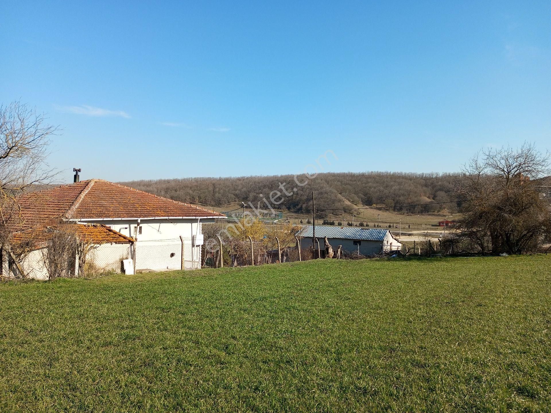 Ege Gayrimenkulden Beycilerde 1300 M2 Arsa