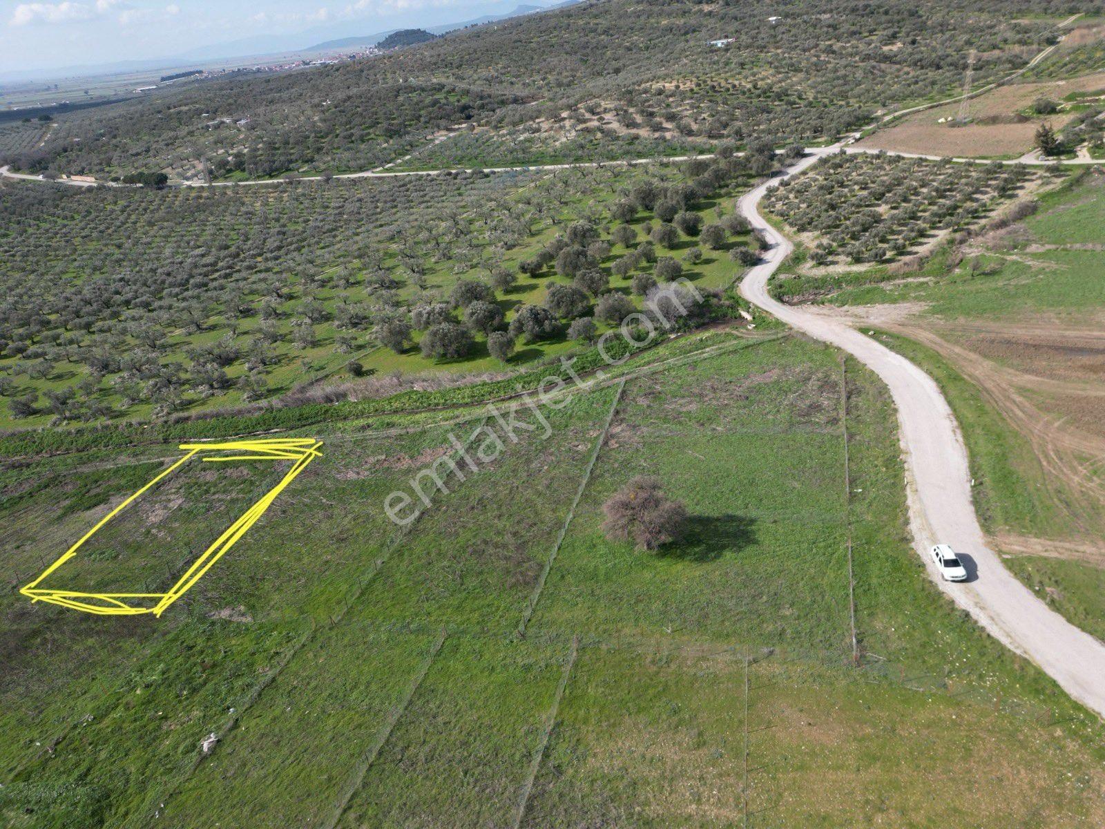 Foça Gerenköyde 576 M2 Kelepir Tarla