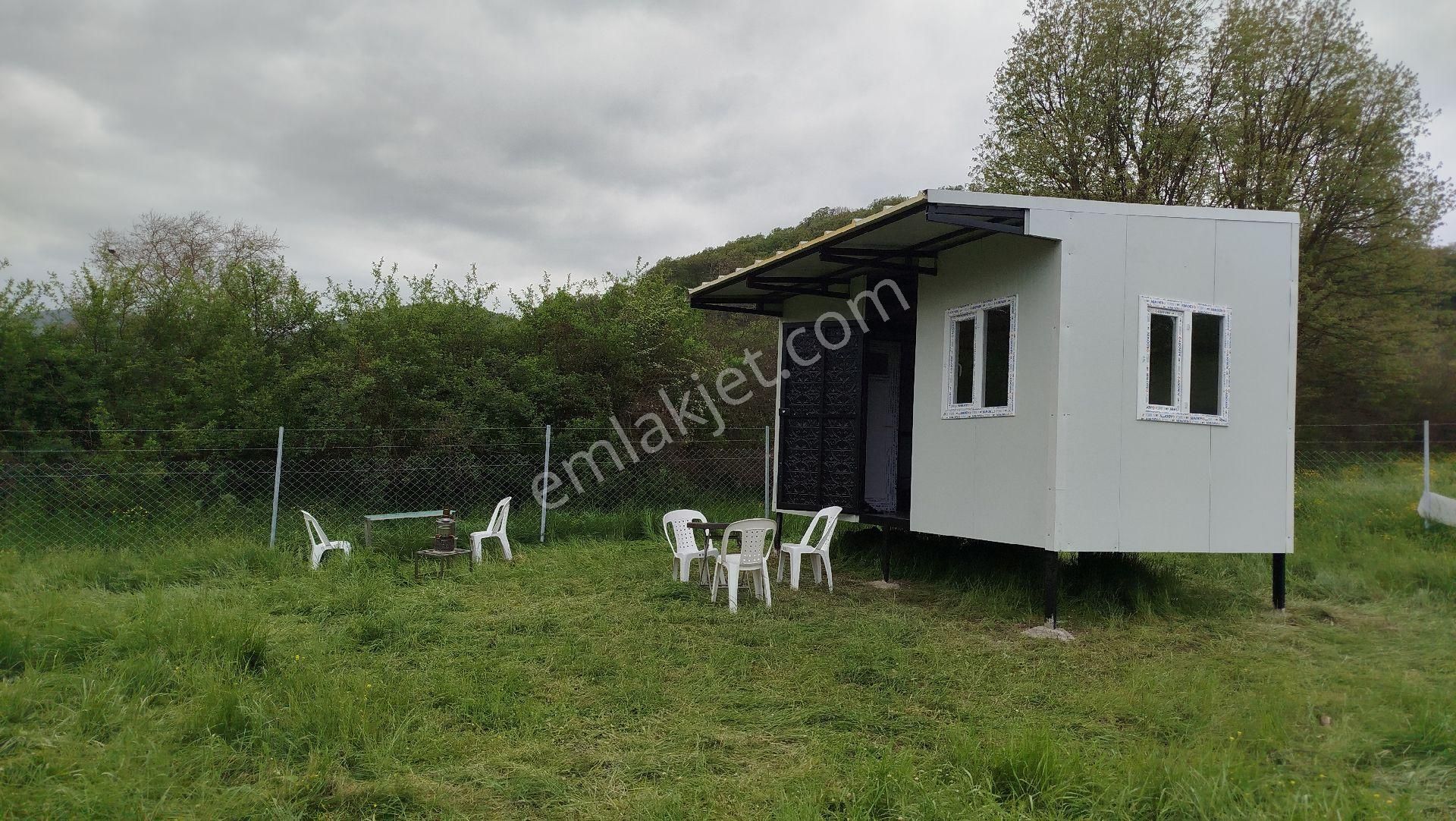 Balıkesir Balya Mancılık Satılık 4.235 M2 Tarla