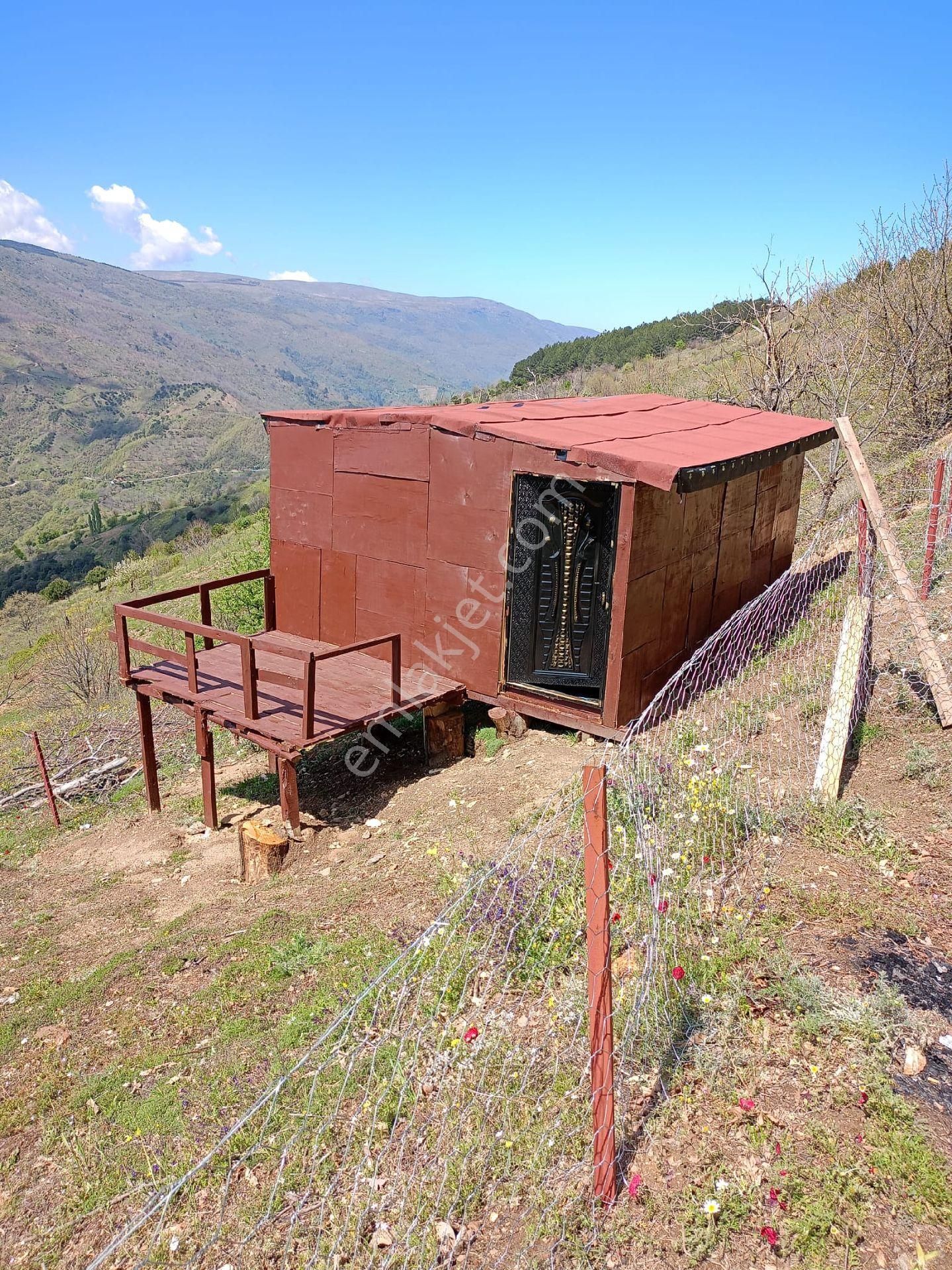 Nazilli Apaklar Mahallesi Yayla Evi