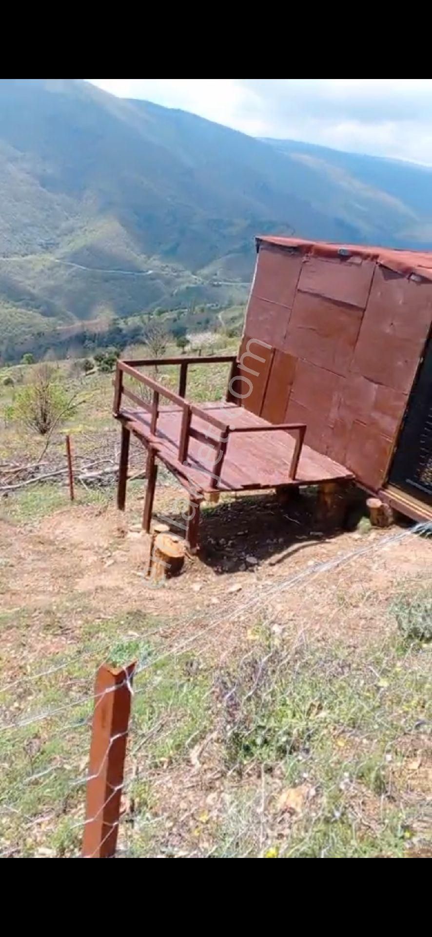 Nazilli Apaklar Mahallesi Yayla Evi