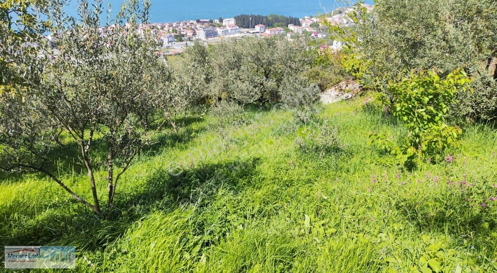Merkez Emlak Armağan'dan Karamürsel'de 2.500 M2 Deniz Manzaralı