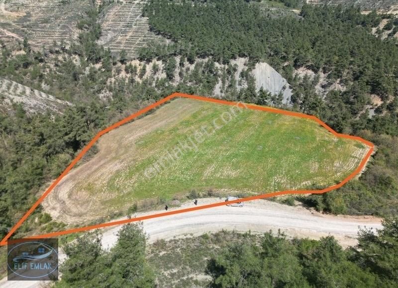 Osmaneli Çiftlik Köyü 15,810 M²çiftlik Yapımına Uygun %5 İmarlı