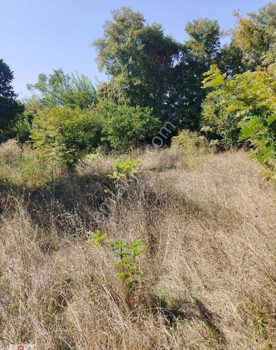 Muğla Ortaca Okçular Da Satılık Villa Arsasi - Görsel 3