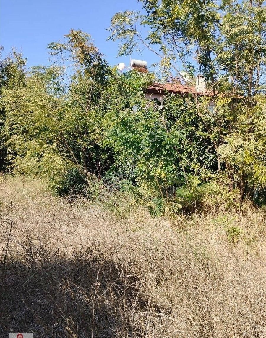 Muğla Ortaca Okçular Da Satılık Villa Arsasi - Görsel 6