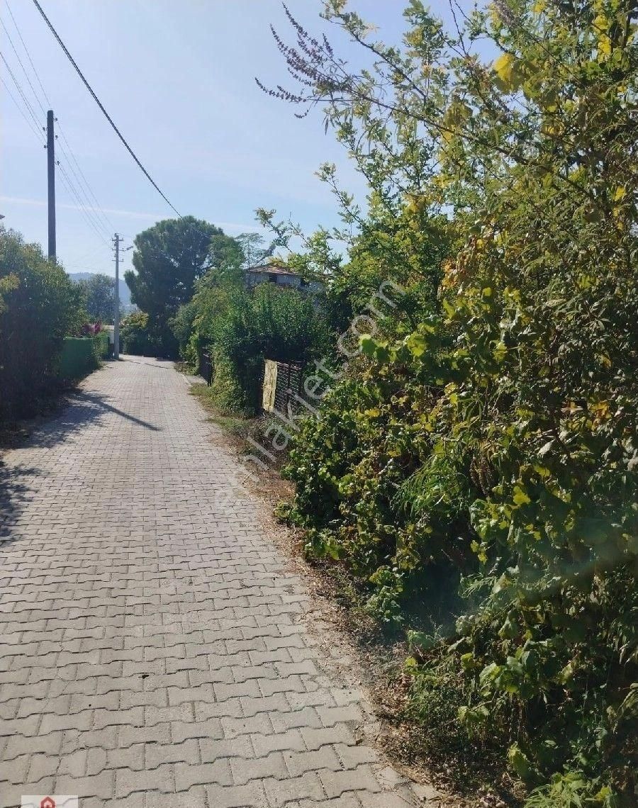 Muğla Ortaca Okçular Da Satılık Villa Arsasi - Görsel 2