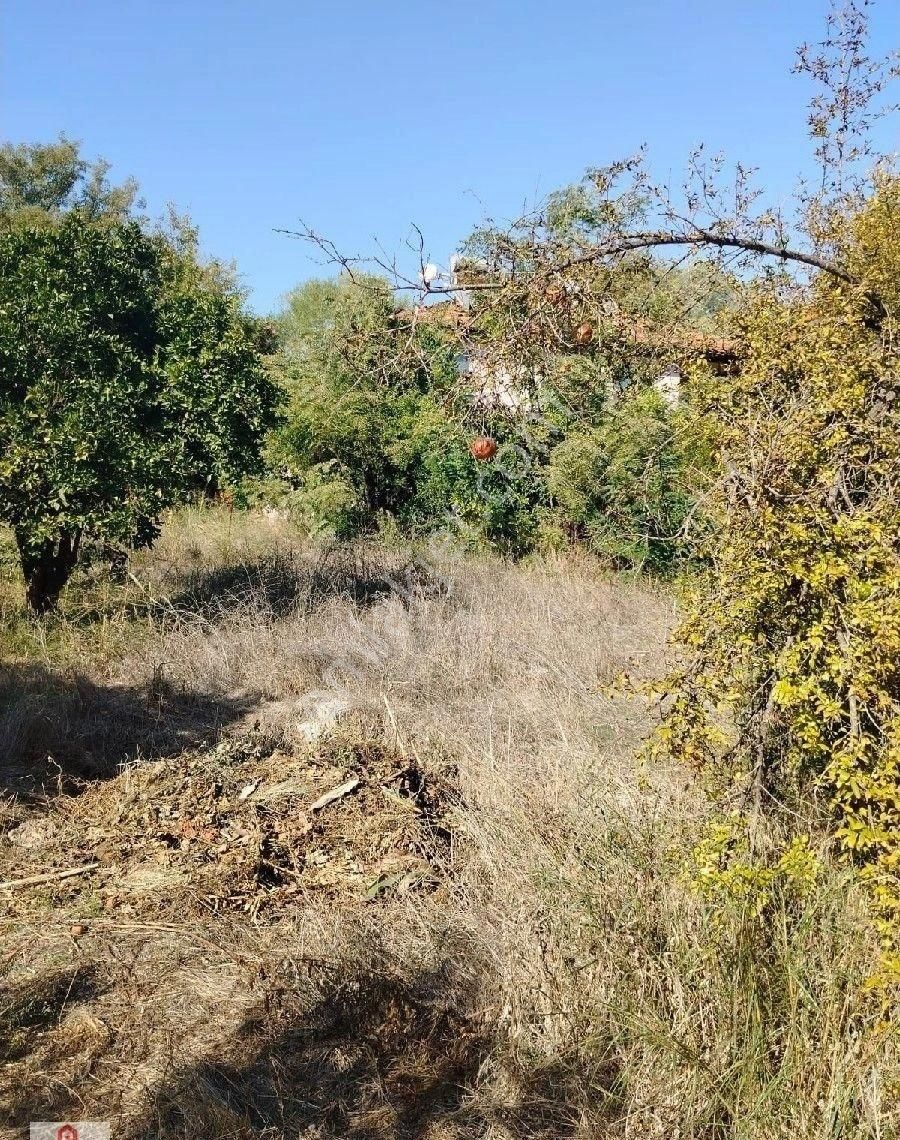 Muğla Ortaca Okçular Da Satılık Villa Arsasi - Görsel 9