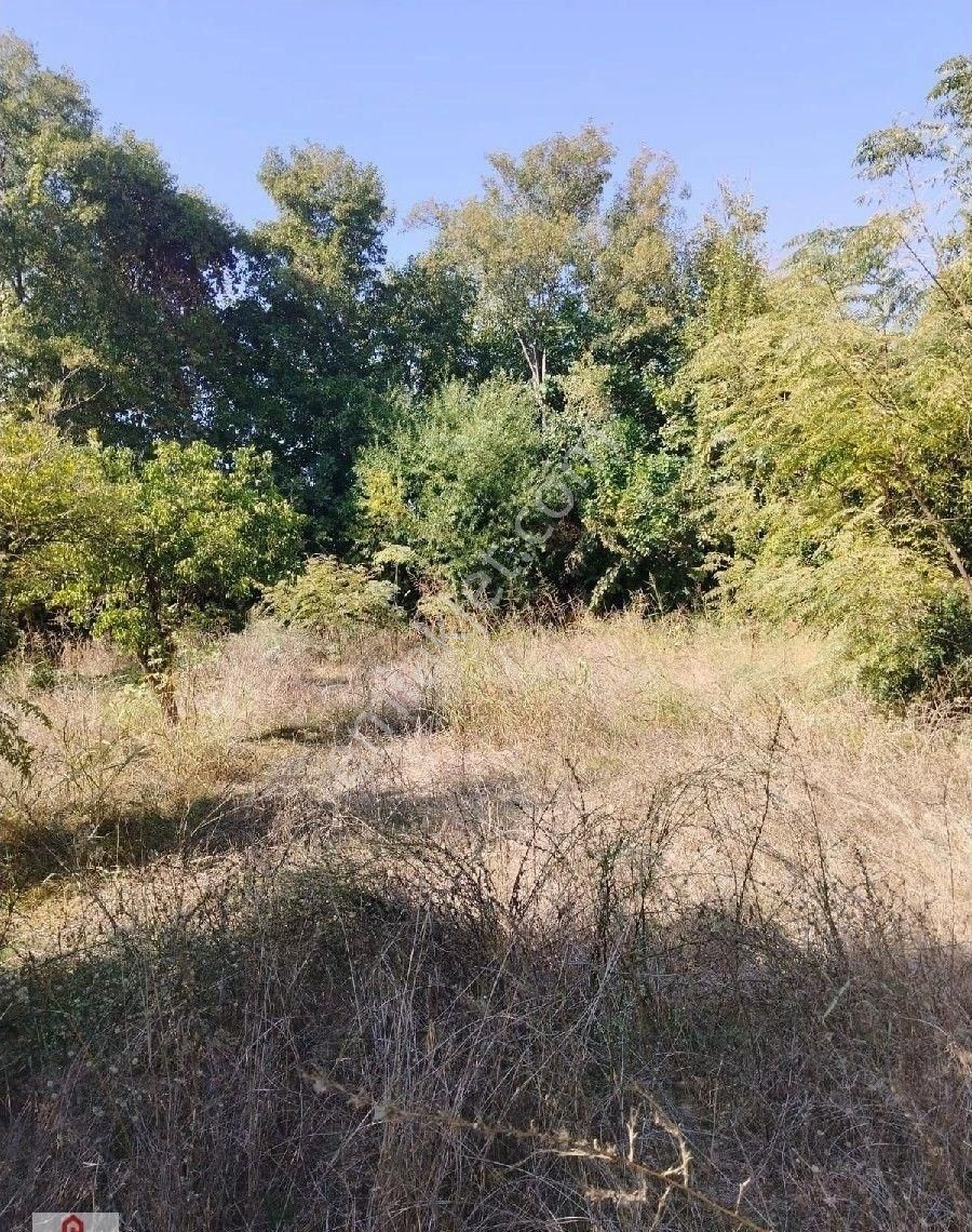 Muğla Ortaca Okçular Da Satılık Villa Arsasi - Görsel 10