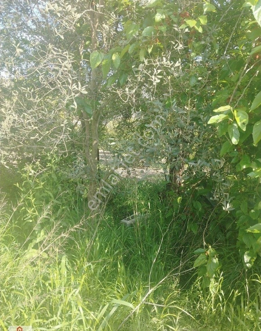 Muğla Ortaca Okçular Da Satılık İçinde Köy Evi Olan Tarla - Görsel 10
