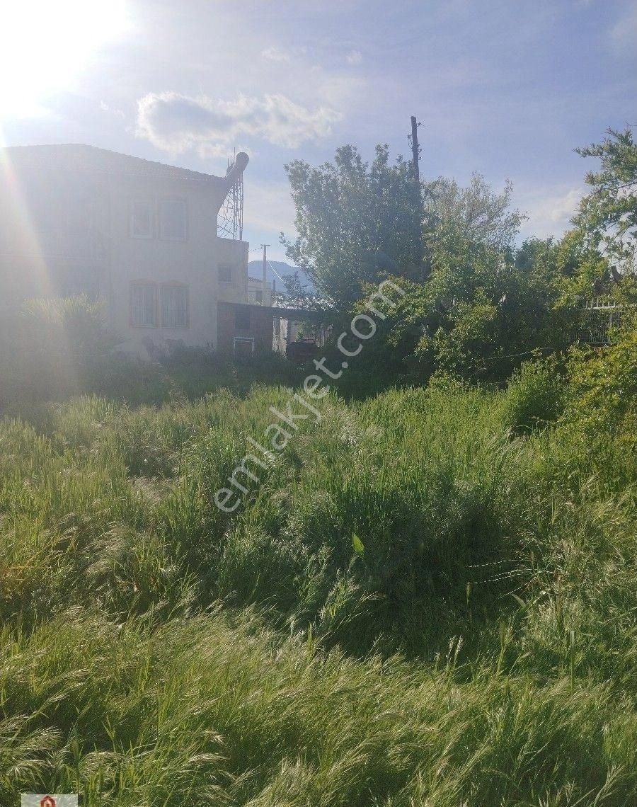 Muğla Ortaca Okçular Da Satılık İçinde Köy Evi Olan Tarla - Görsel 6