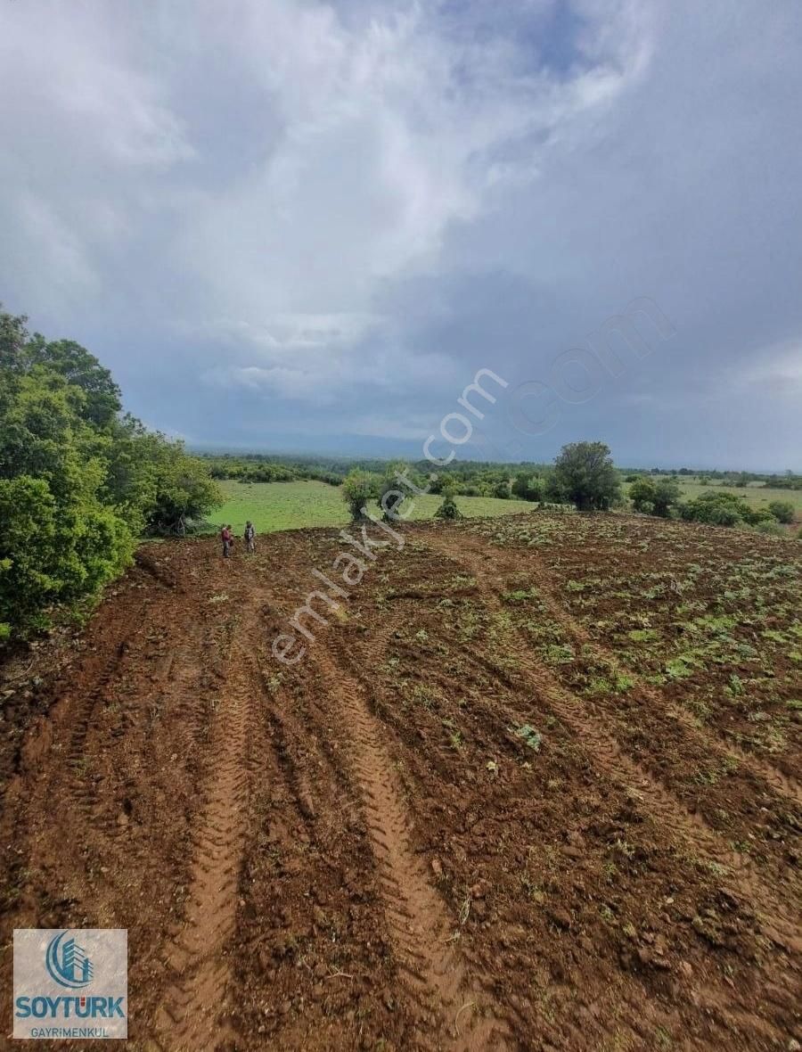 Soytürk'den Kutlubey De Yerleşime Yakın 8000 M2 Arazi