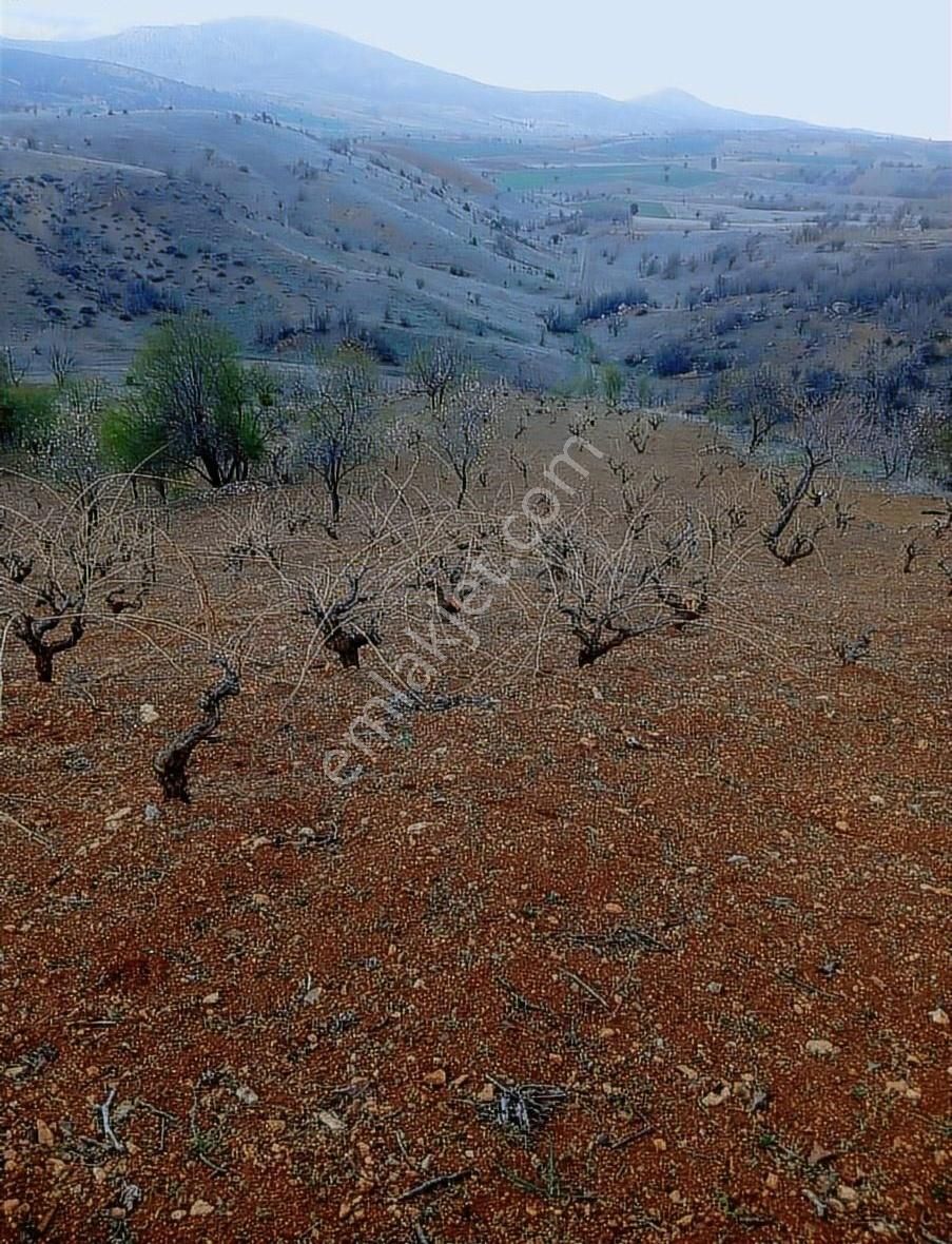 Satılık Bağ - Görsel 21