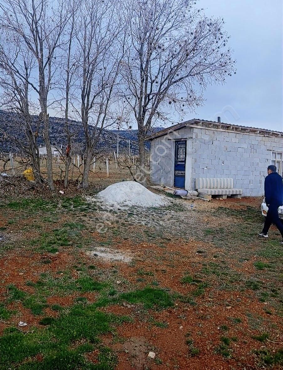 Satılık Bağ - Görsel 17