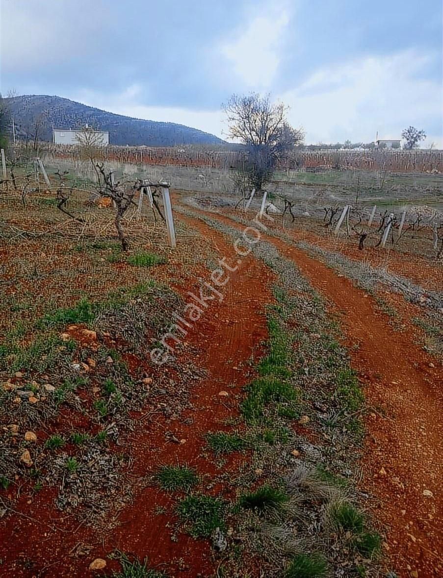 Satılık Bağ - Görsel 22