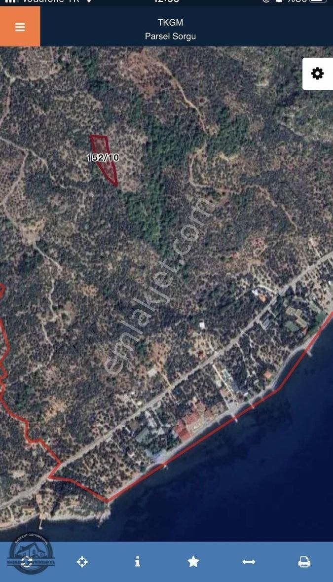 Fırsat! Ayvacık Sazlıda Deniz Manzaralı Satılık Zeytinlik