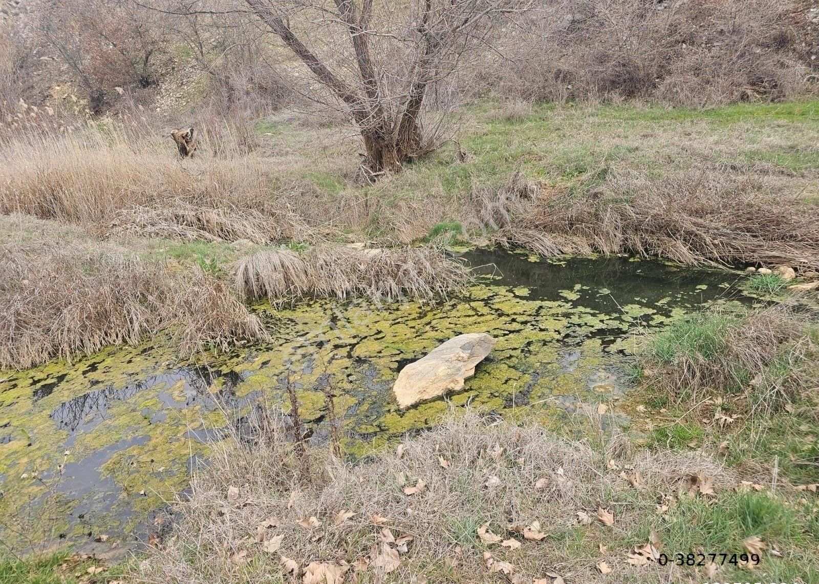 Uşak Eşme'de Beklenen Yatırım Fırsatı Satılık Sulak 12320 M2 Tarla