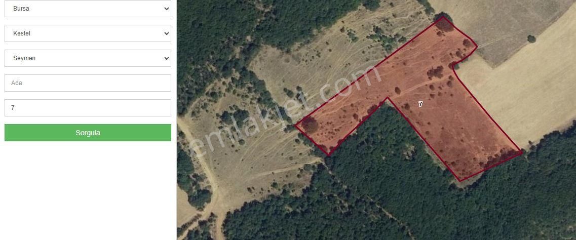 Burhan Ardıç'tan Kestel Seymen 6.000 M2 Tarla
