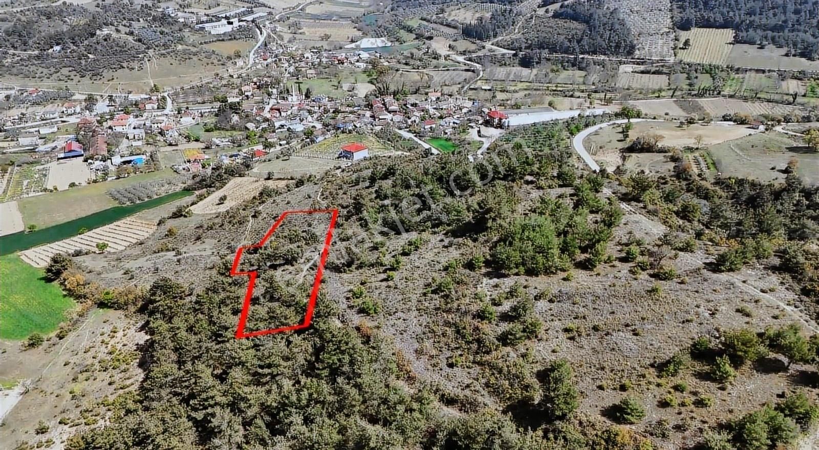 Efendi'den Geyve Safıbey'de Havadar Manzaralı Arazi