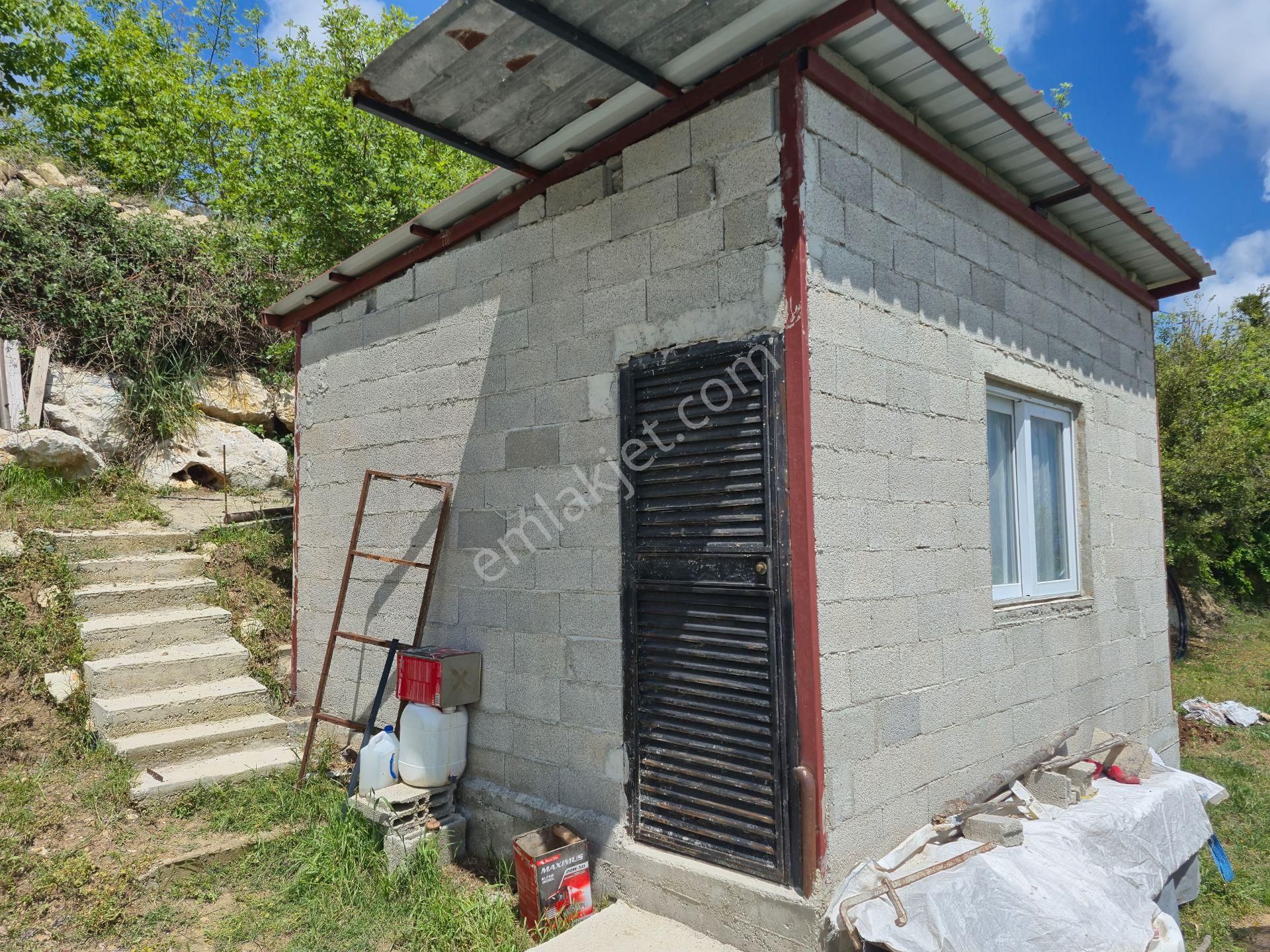 Aslan'dan Sıraç'ta Müstakil Parsel Kivi Bahçesi - Görsel 3