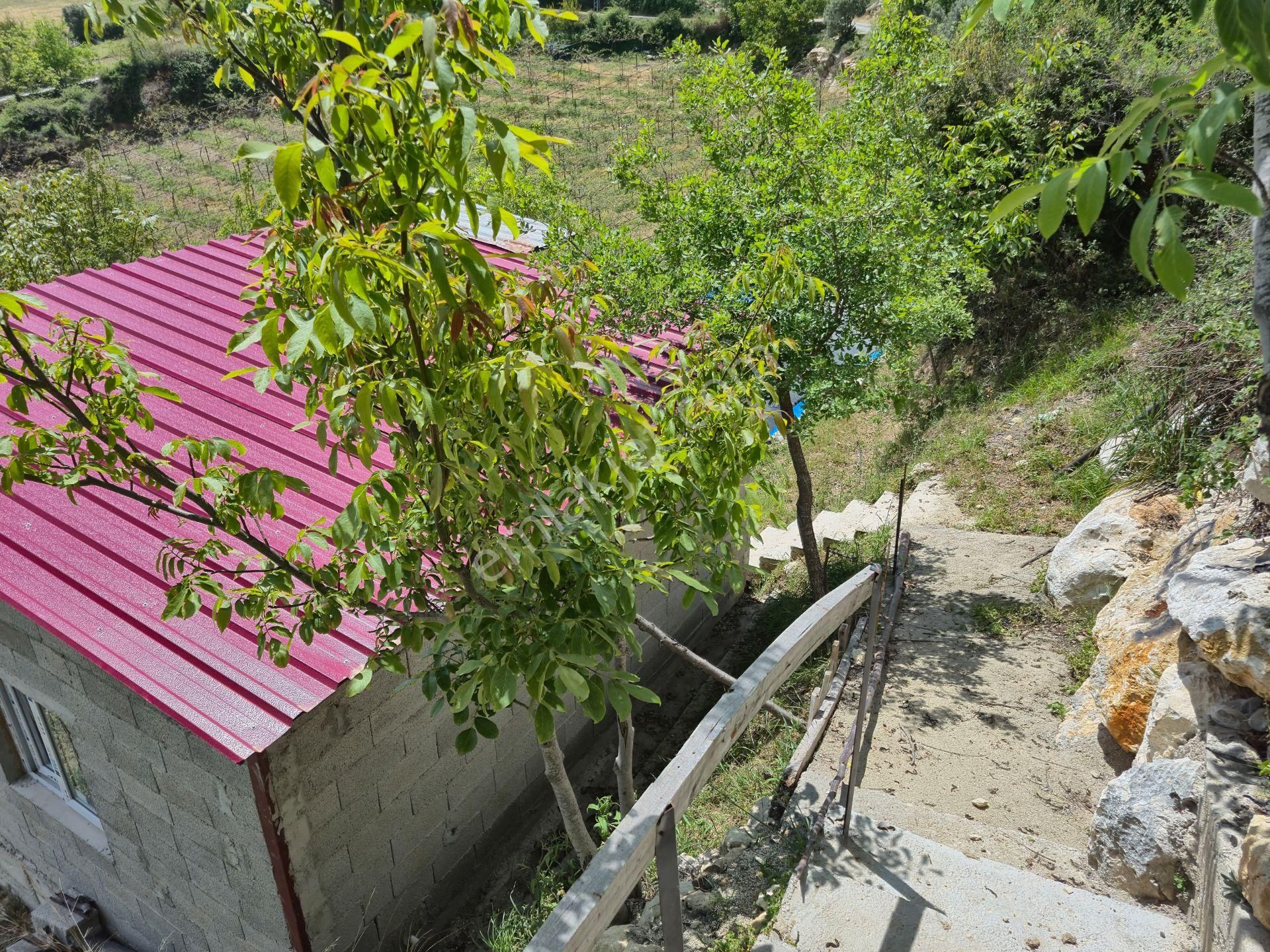 Aslan'dan Sıraç'ta Müstakil Parsel Kivi Bahçesi - Görsel 7