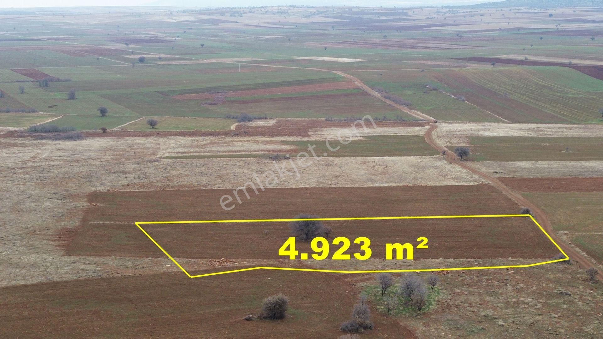 Konya / Akören / Hacılar Mahallesinde 4.923 M² Müstakil Tapulu Tarla