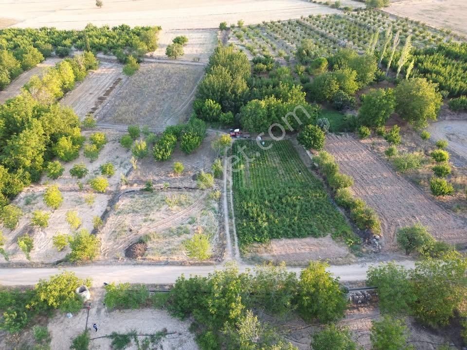 Korkuteli Yeltende Ferah Güzel 1183 M2 Konumda Havadar Bahçe - Görsel 6