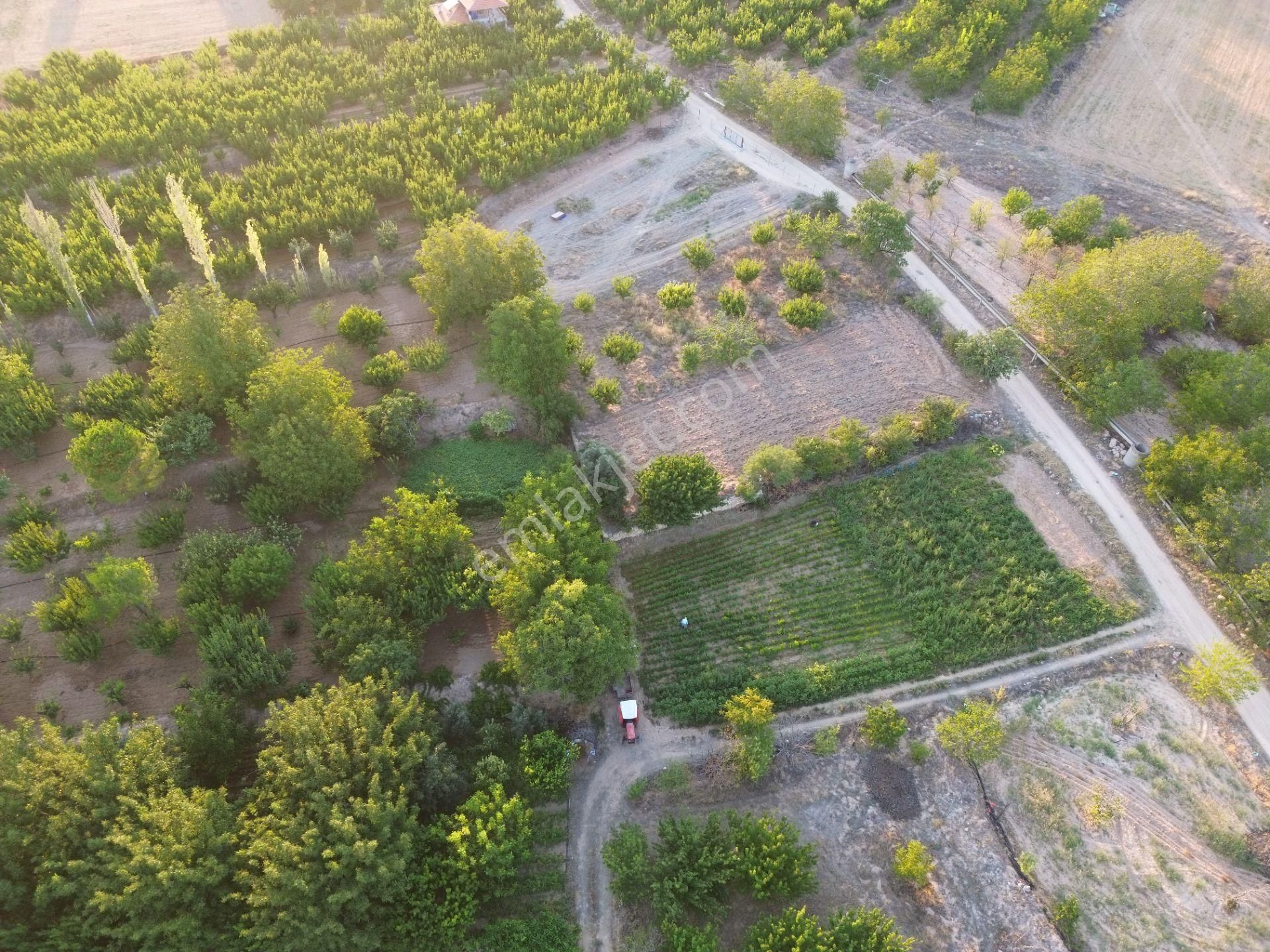 Korkuteli Yeltende Ferah Güzel 1183 M2 Konumda Havadar Bahçe - Görsel 13