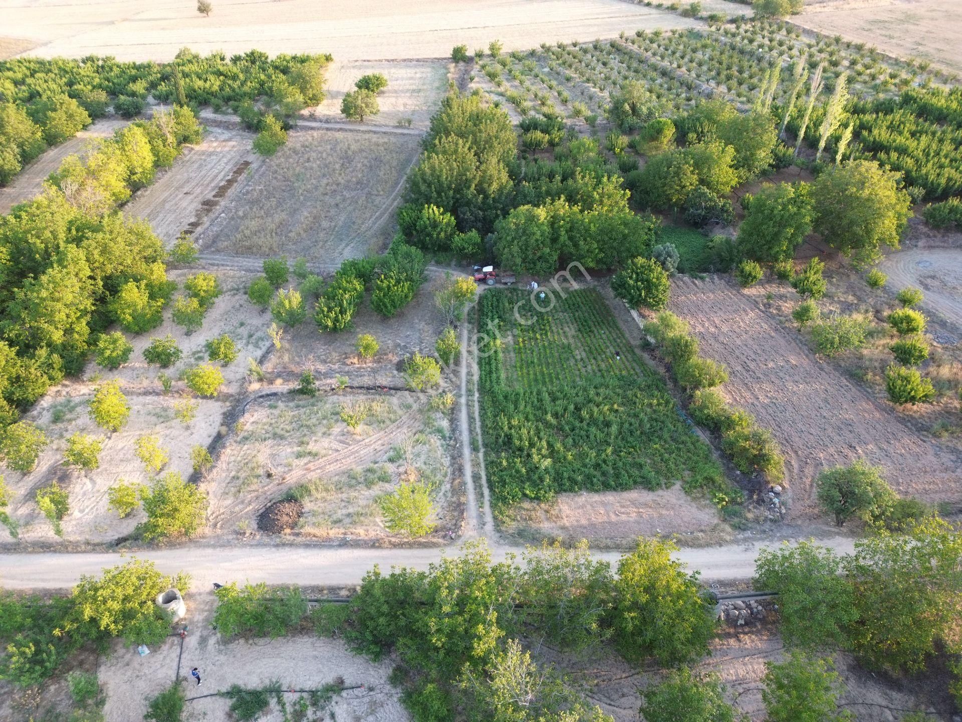 Korkuteli Yeltende Ferah Güzel 1183 M2 Konumda Havadar Bahçe - Görsel 10