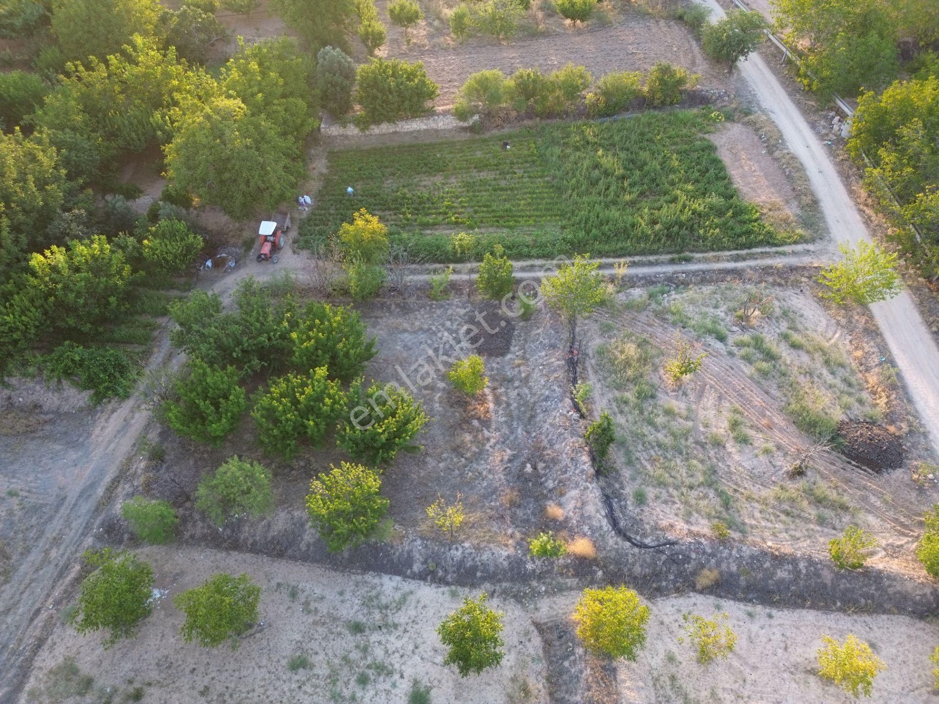 Korkuteli Yeltende Ferah Güzel 1183 M2 Konumda Havadar Bahçe - Görsel 11