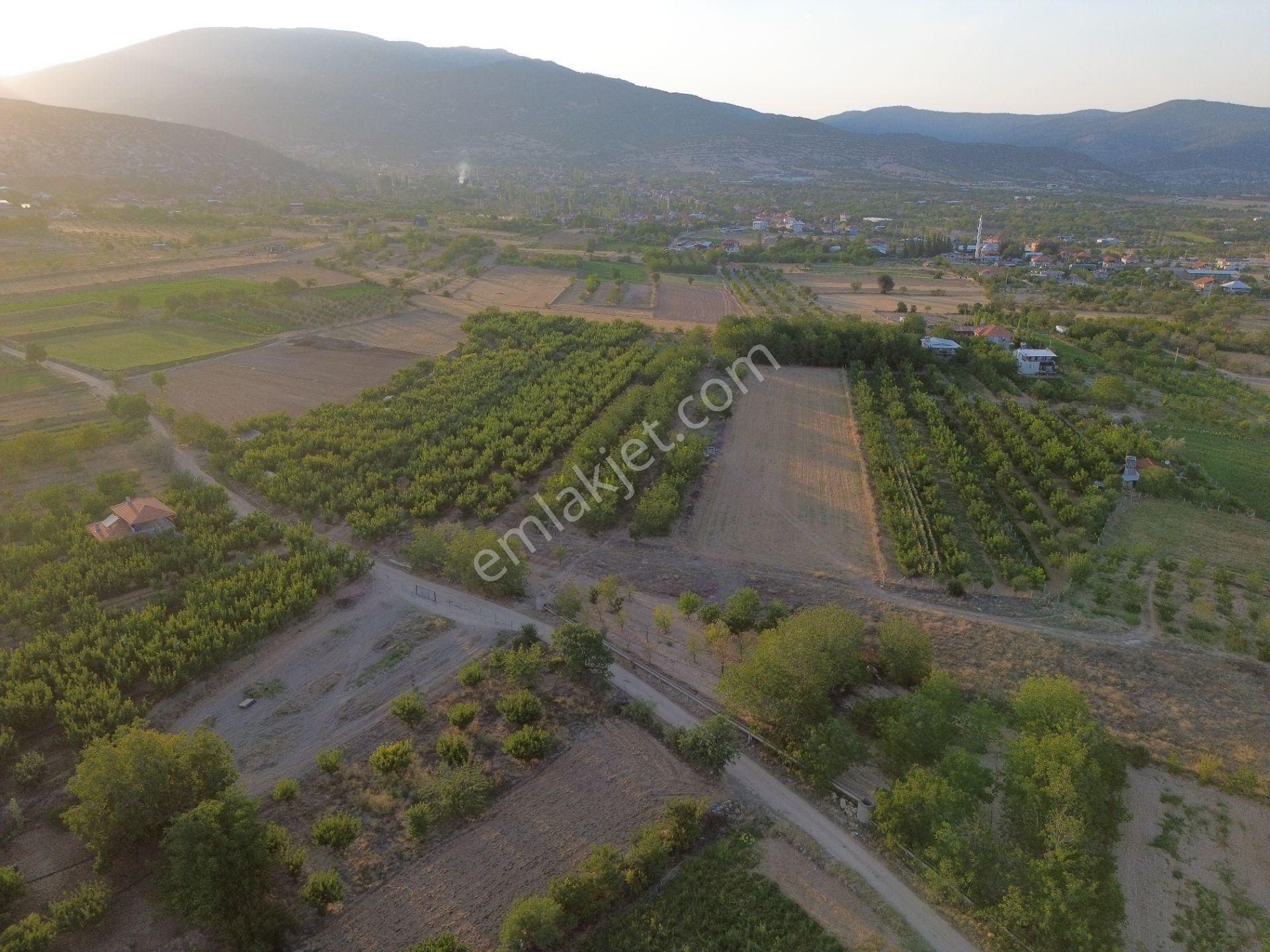 Korkuteli Yeltende Ferah Güzel 1183 M2 Konumda Havadar Bahçe - Görsel 14