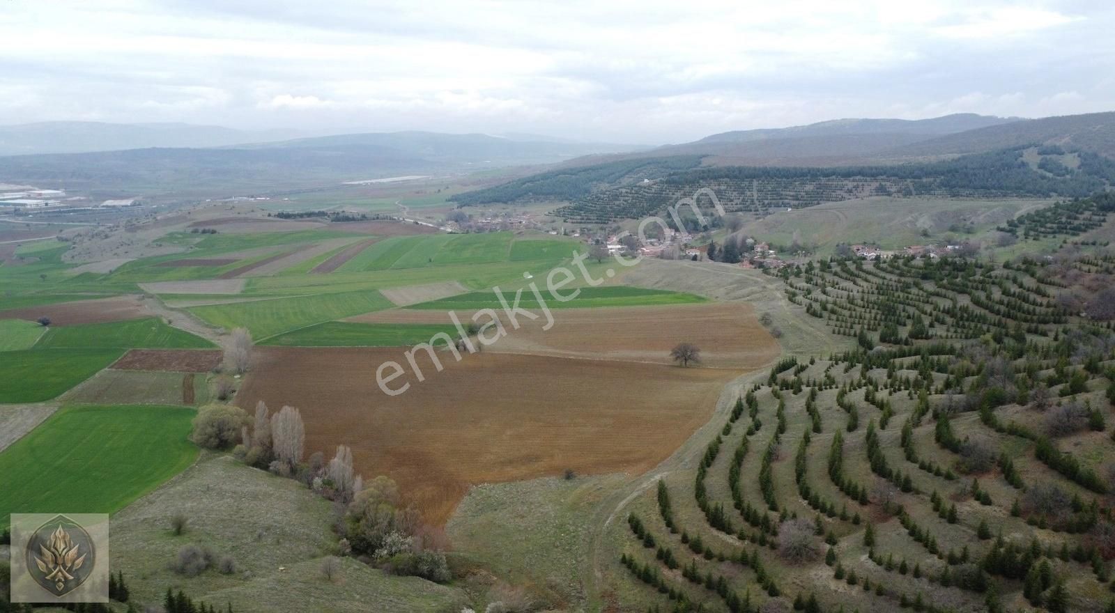 Bozüyük Yenicepni Osb Karşısı Mükemmel Yatırım Fırsatı 32 Dönüm