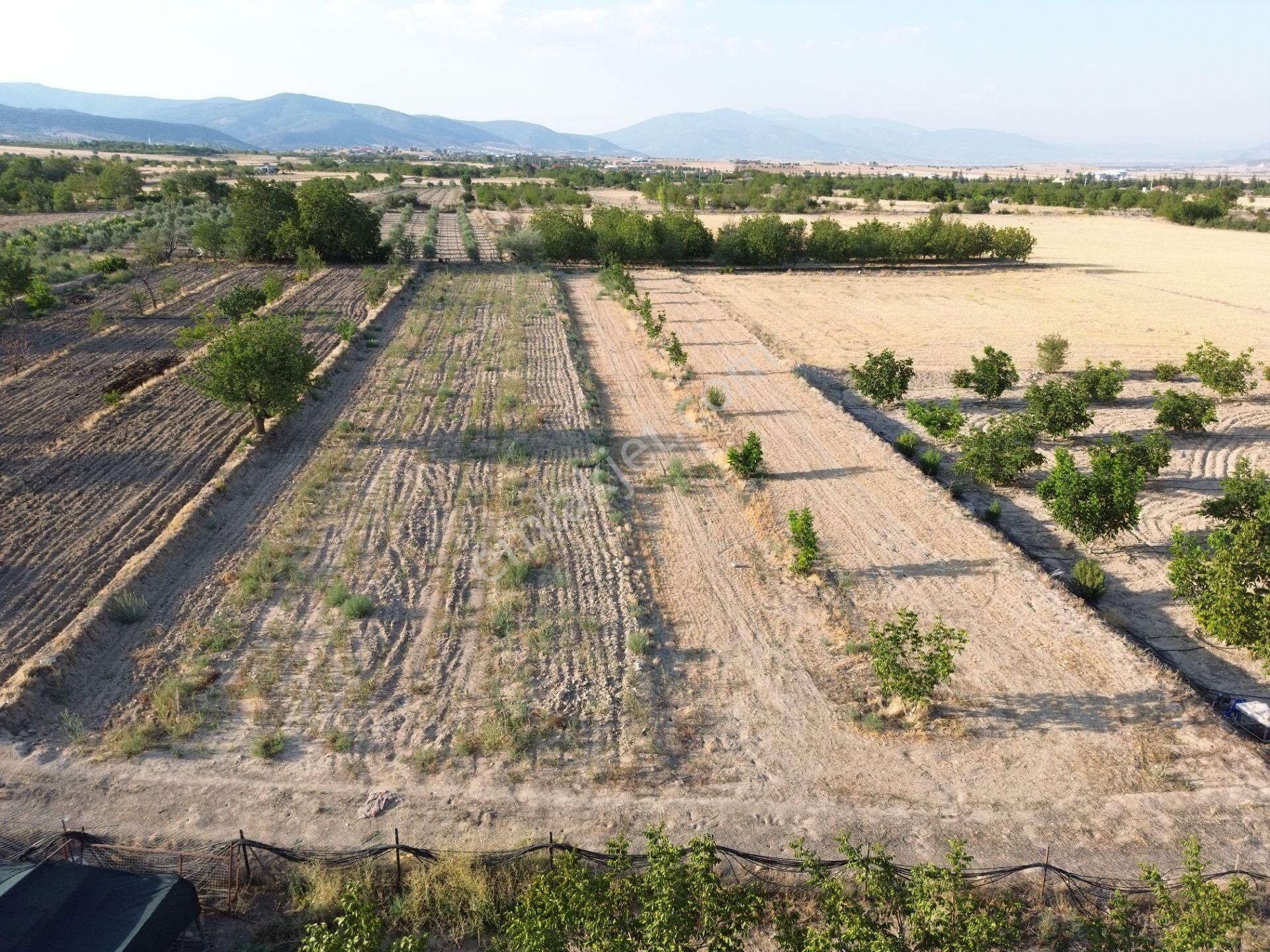 Korkuteli Yeltende Satılık Sulak Bahçe 2997 M2 Bahçee - Görsel 4