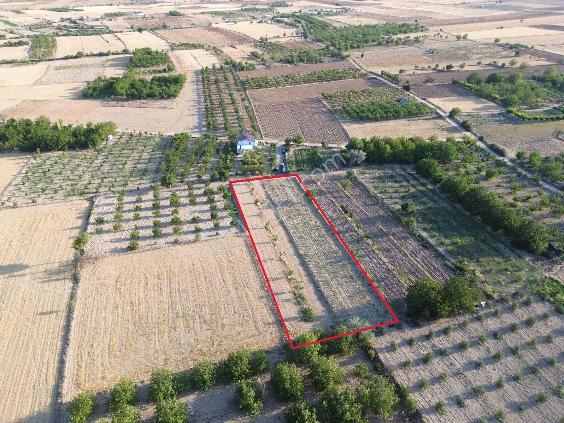 Korkuteli Yeltende Satılık Sulak Bahçe 2997 M2 Bahçee - Görsel 3