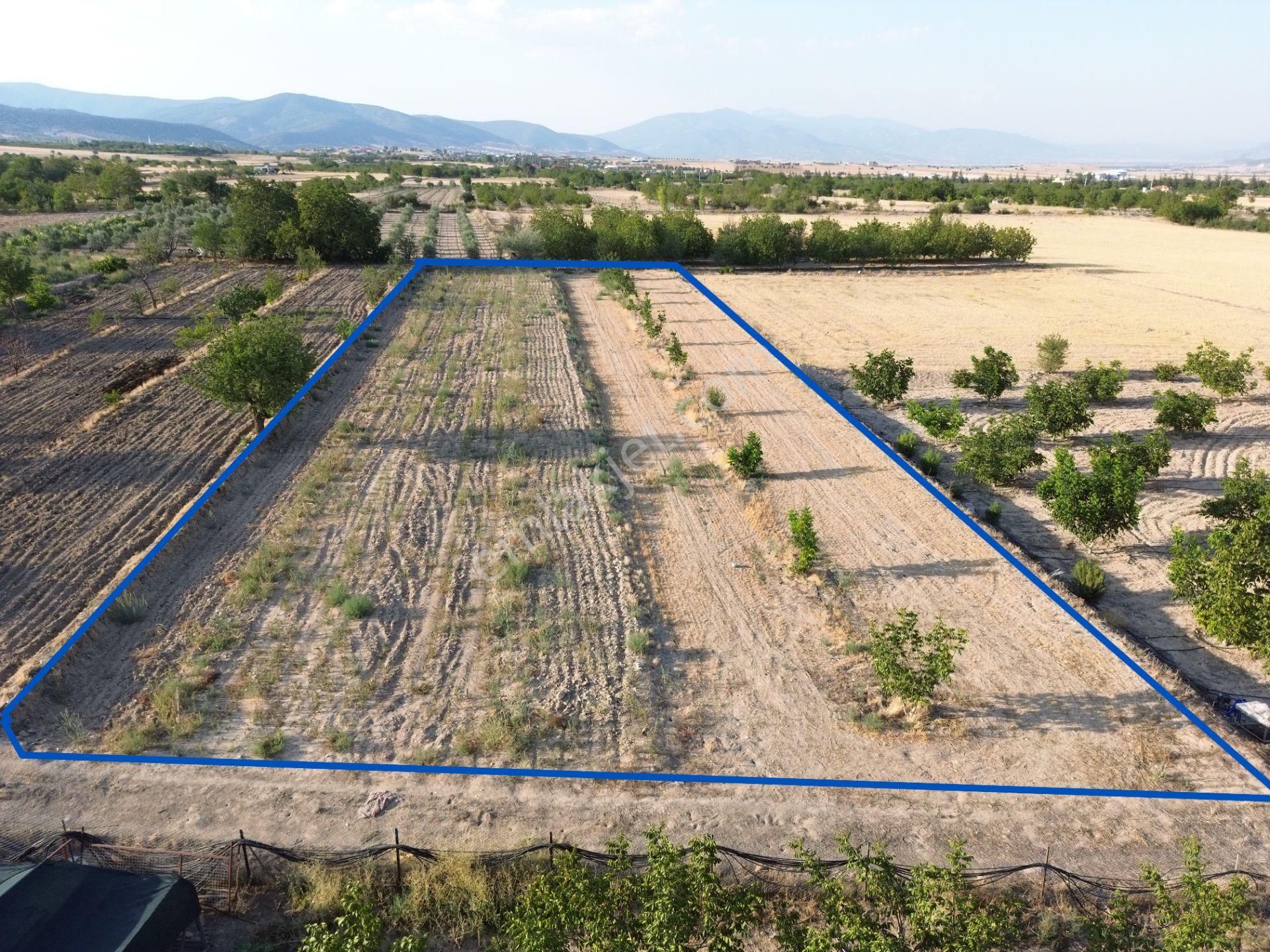 Korkuteli Yeltende Satılık Sulak Bahçe 2997 M2 Bahçee - Görsel 2