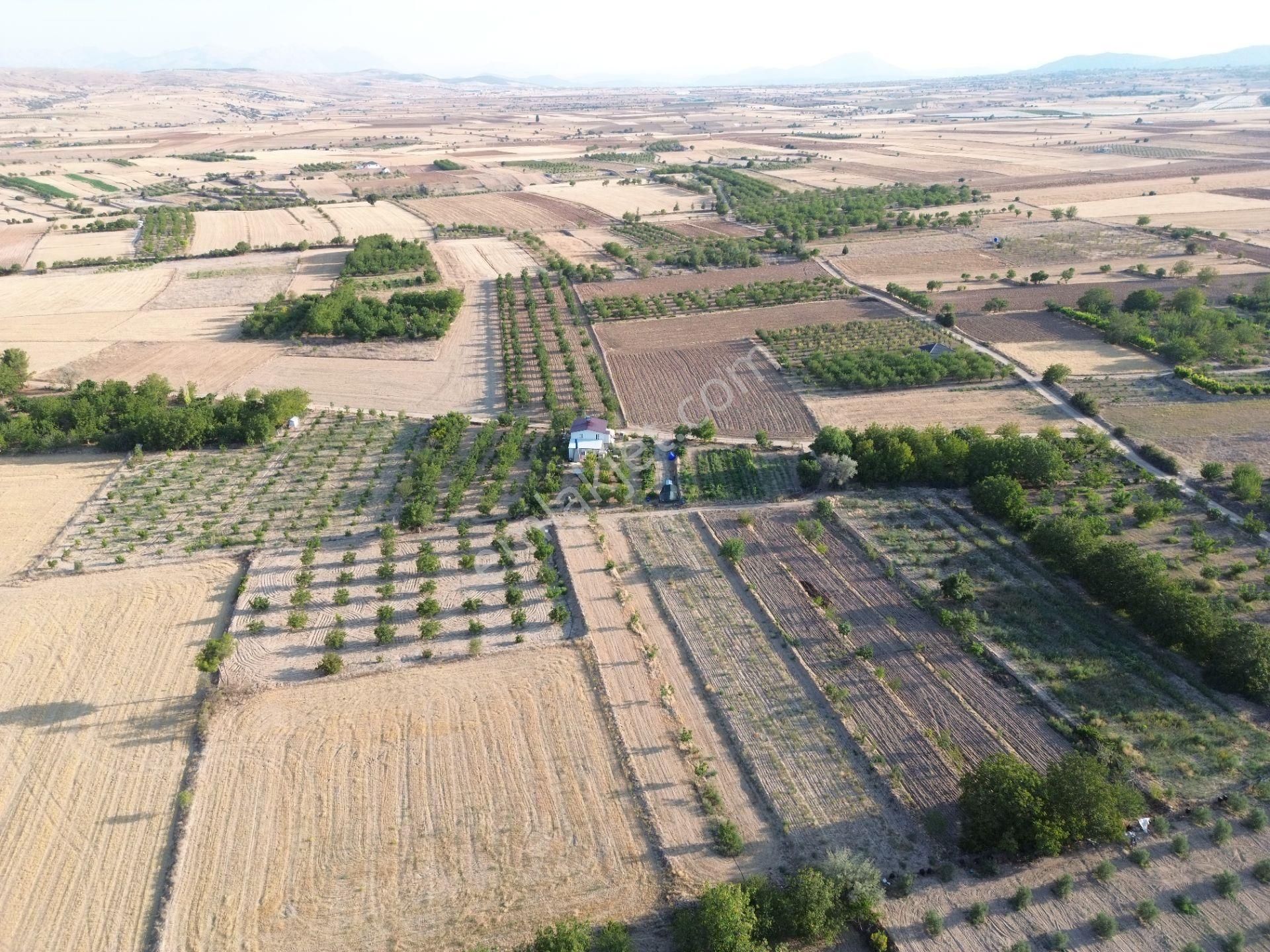 Korkuteli Yeltende Satılık Sulak Bahçe 2997 M2 Bahçee - Görsel 11