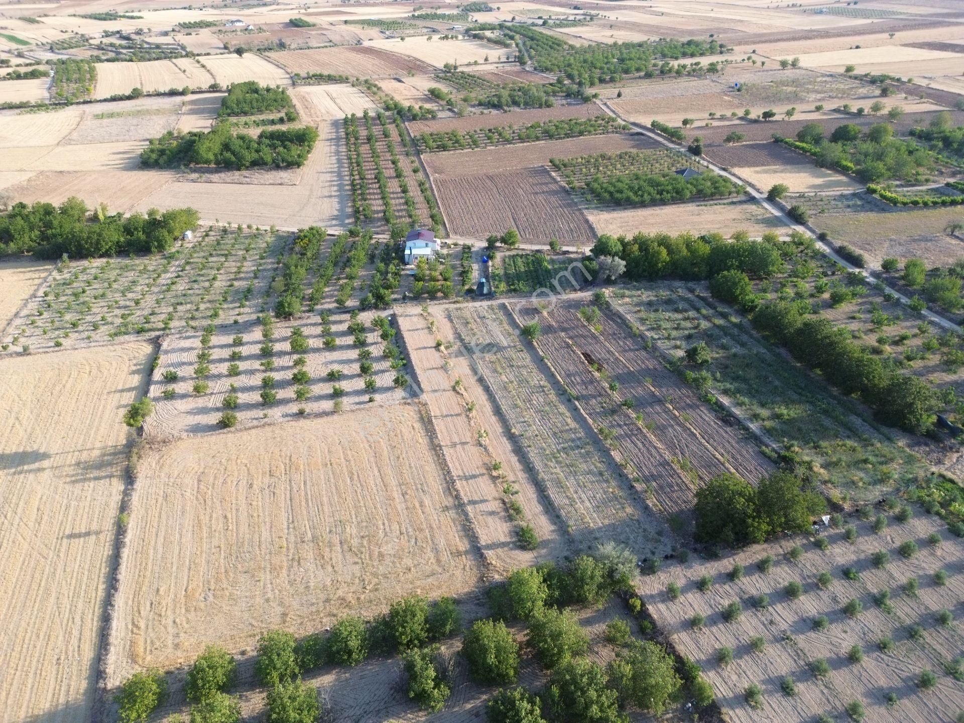 Korkuteli Yeltende Satılık Sulak Bahçe 2997 M2 Bahçee - Görsel 9