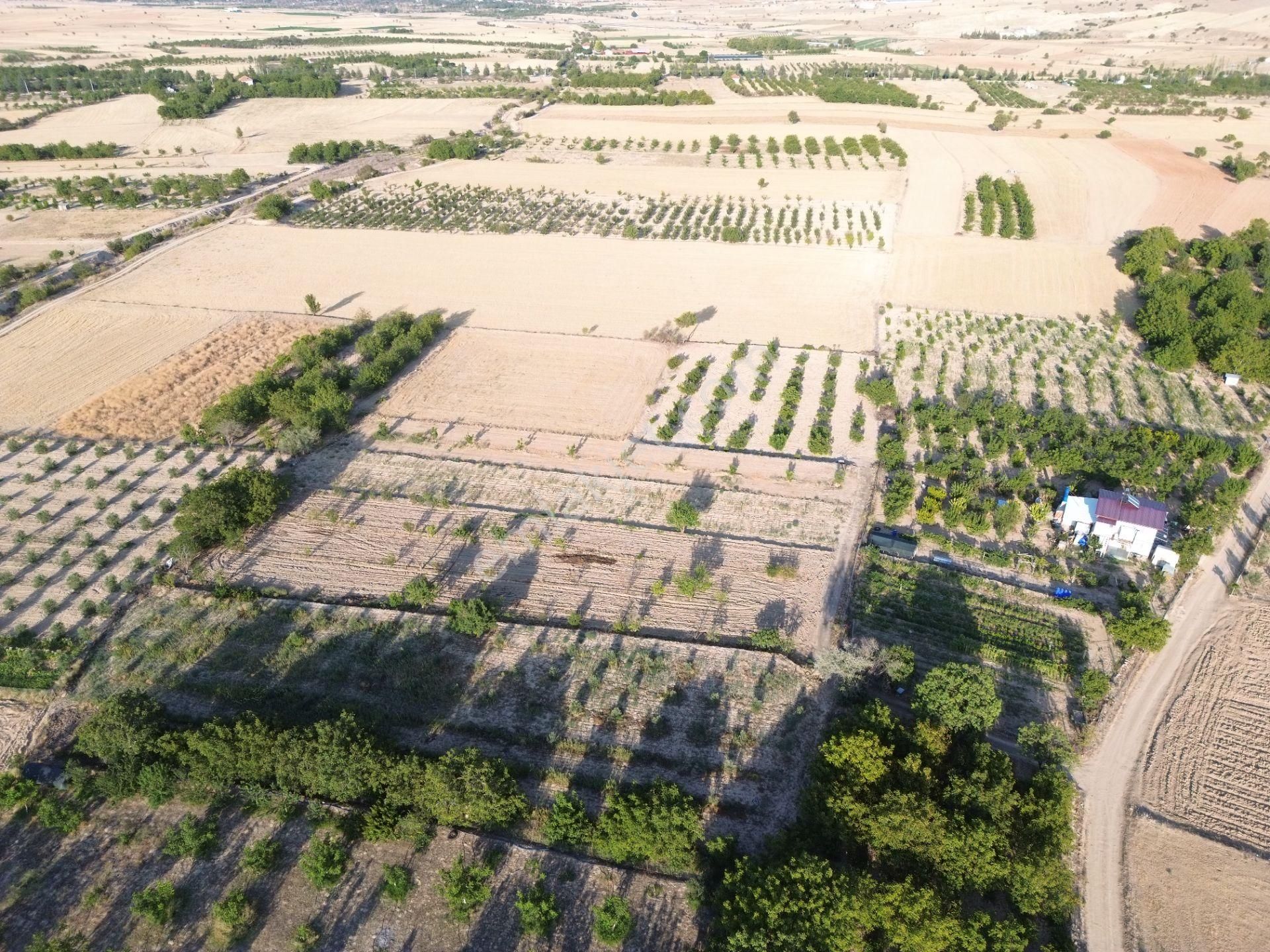 Korkuteli Yeltende Satılık Sulak Bahçe 2997 M2 Bahçee - Görsel 8