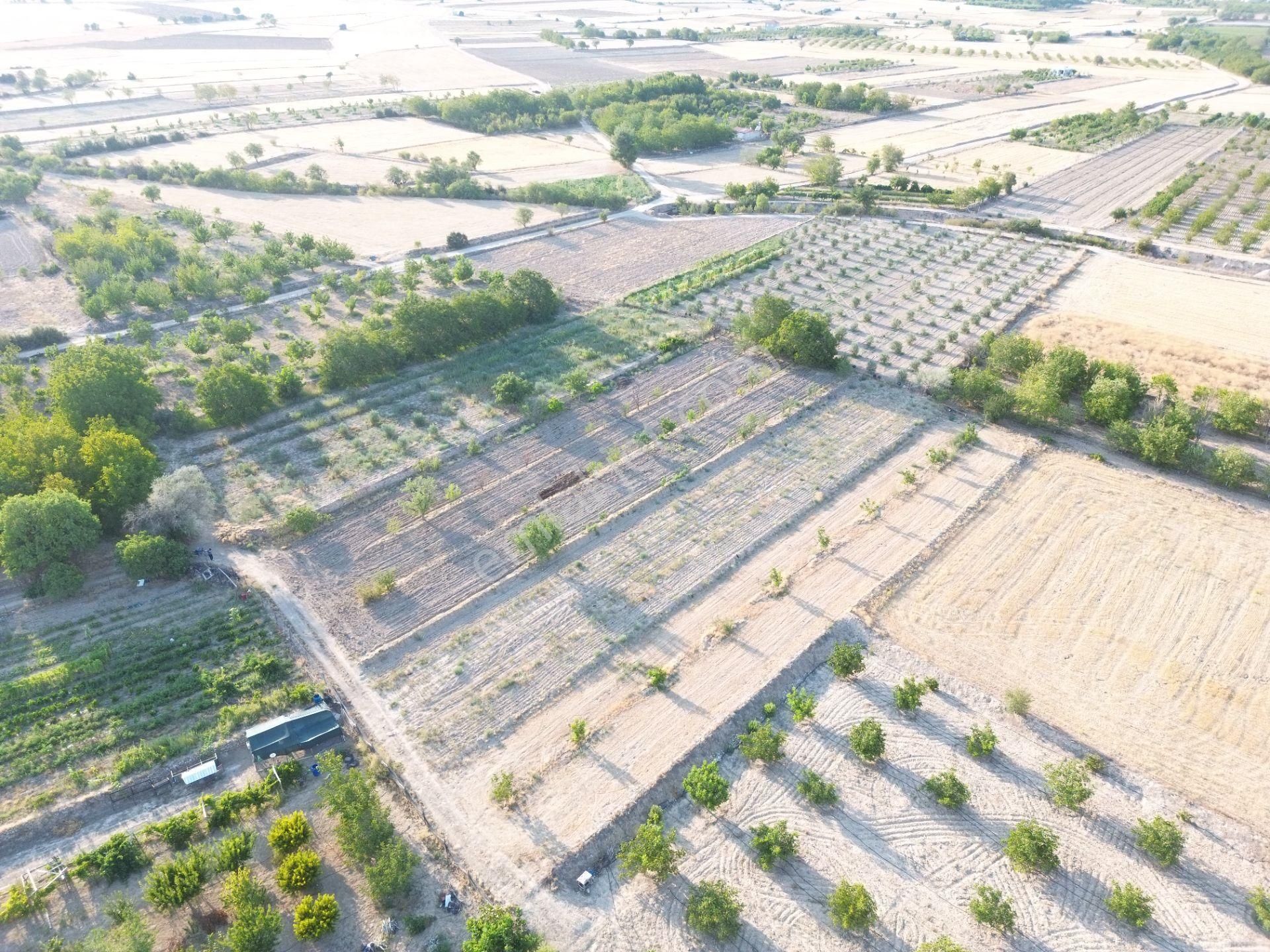 Korkuteli Yeltende Satılık Sulak Bahçe 2997 M2 Bahçee - Görsel 7