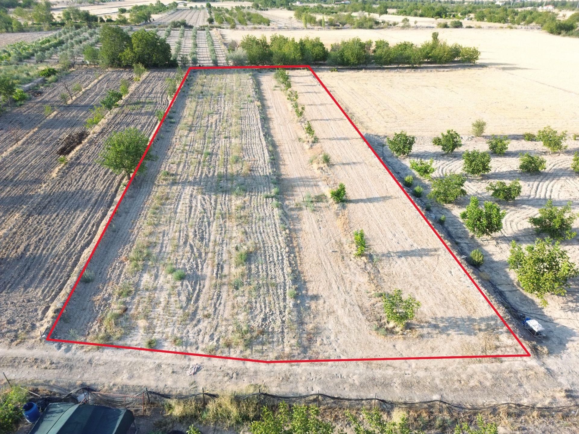 Korkuteli Yeltende Satılık Sulak Bahçe 2997 M2 Bahçee - Görsel 12